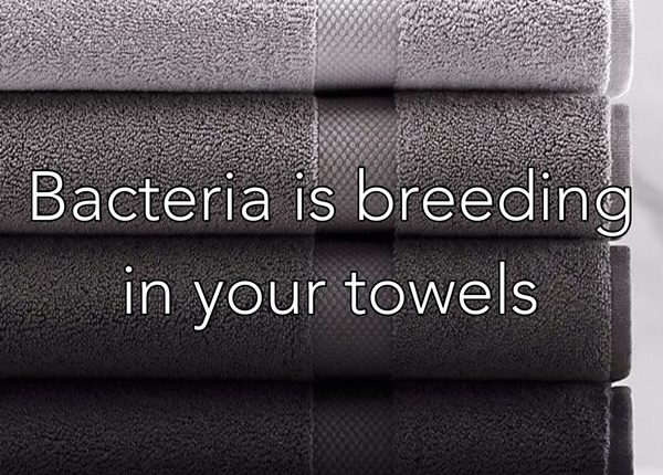 Bacteria is breeding in your towels